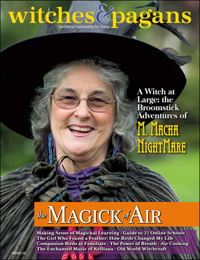Witches&Pagans #25 Element of Air (paper) - Click Image to Close